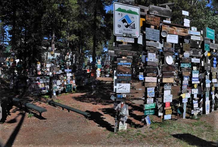 signpost forest